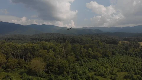 Mountain Drone Shot with Eagle Stock Footage 94139961