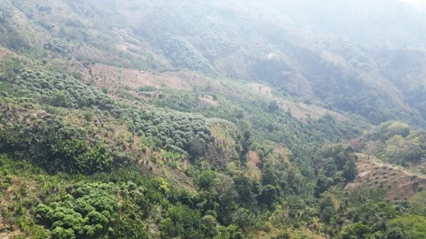 Mountain Drone view Hill Greenery sunny winter day misty fog Bangladesh Stock Footage 300935603