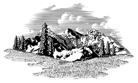 Mountain Elk Scene Stock Illustration