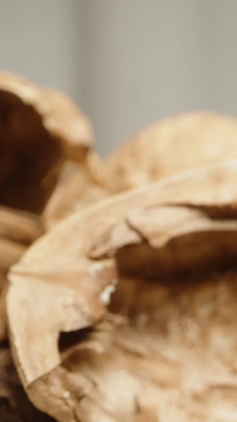 A mountain of empty walnut shells on a white background. Dolly slider extreme cl Stock Footage 245947839