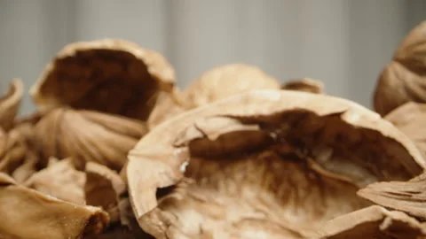 A mountain of empty walnut shells on a white background. Dolly slider extreme cl Stock Footage 245949108