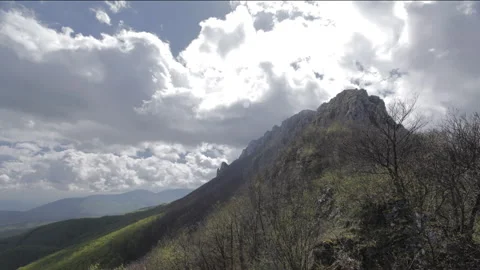 Mountain Falcon Stock Footage