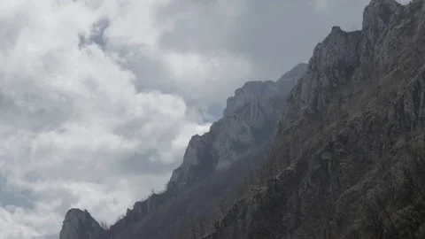 Mountain Falcon Video stock 133523589