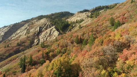 Mountain fall colors 動画素材 296795298