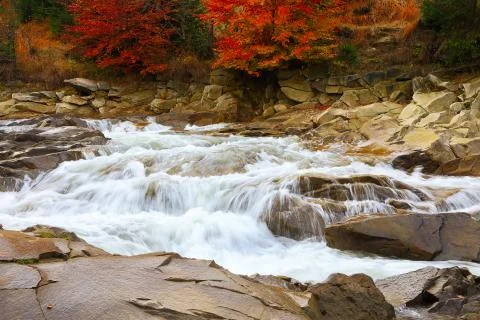 Mountain fast flowing river stream of water in the rocks at autumn Stock Photos