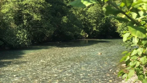 Mountain fast river, dense forest and an old wooden bridge Stock Footage 126318974