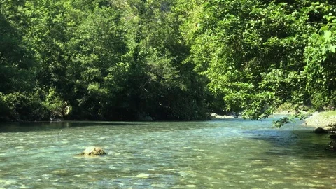 The mountain fast river flows through a mountainous wooded area 動画素材 126318465