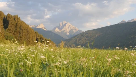 Mountain field Stock Footage 122079326