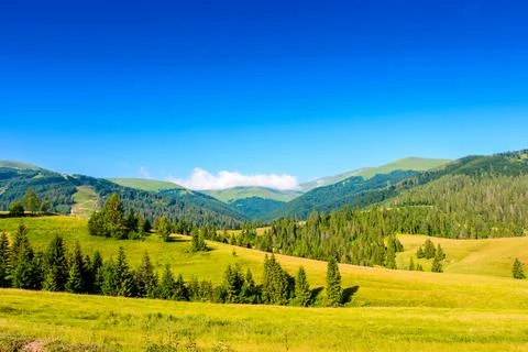 Mountain field in summer Stock Photos