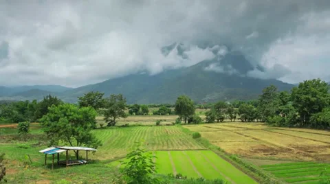 Mountain field Time lapse tilt up Stock Footage 39787638