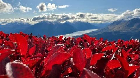 Mountain Fire 库存照片