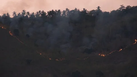 Mountain fire in tropical area Stock Footage 127146818