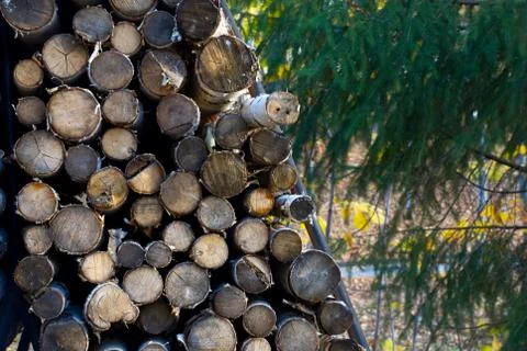Mountain firewood Stock Photos