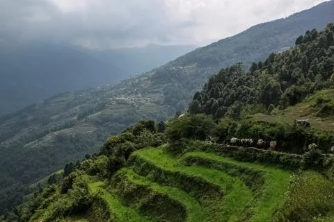 Mountain flights is the best way to visit Nepal Stock Photos