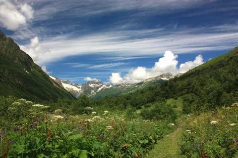 Mountain flower valley Stock Photos