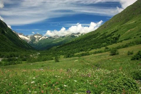 Mountain flower valley 写真素材