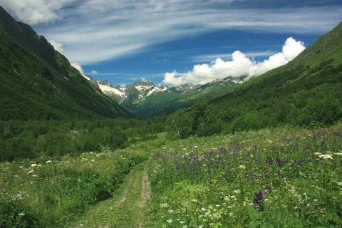 Mountain flower valley 写真素材