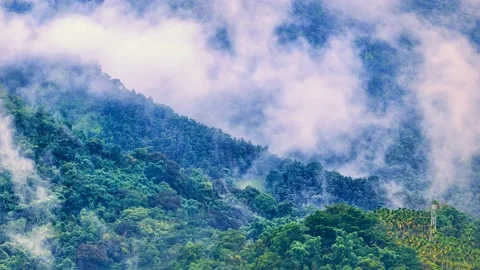MOUNTAIN WITH FLYING CLOUDS IN TAIWAN Stock Footage 201295727