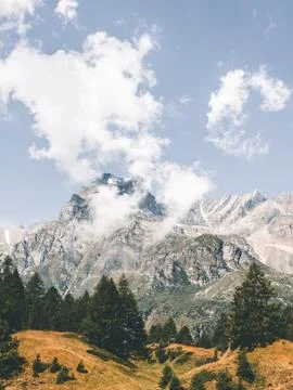 Mountain Focus Overview 库存照片