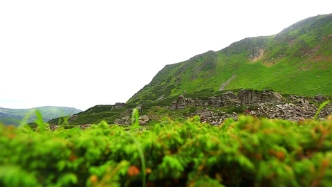 Mountain Fog Video stock 80020092