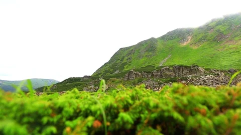 Mountain Fog Video stock 80020102