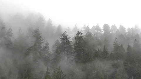 Mountain Fog Stock Footage 96199264