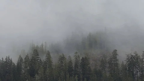 Mountain Fog Stock Footage 96199313