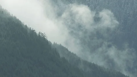 Mountain Fog Stock Footage