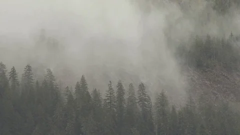Mountain Fog Stock Footage 96199393