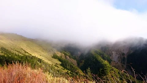Mountain with fog. Stock Footage 245886311