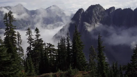 Mountain Fog &amp; Mist Timelapse Видео 219904231
