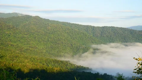 The mountain with the fog movement. Stock Footage 170191533