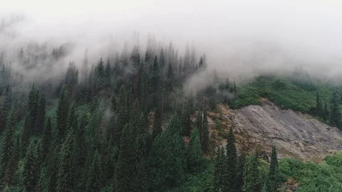 Mountain Fog Rolling Over Trees Stock Footage