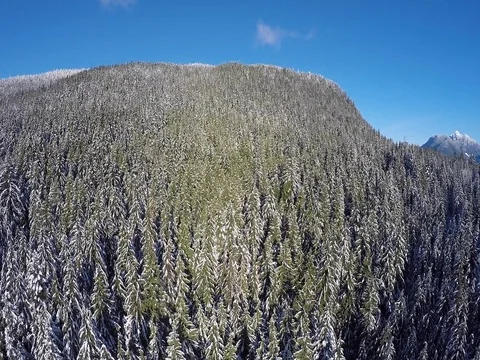 Mountain Vidéo 80276303