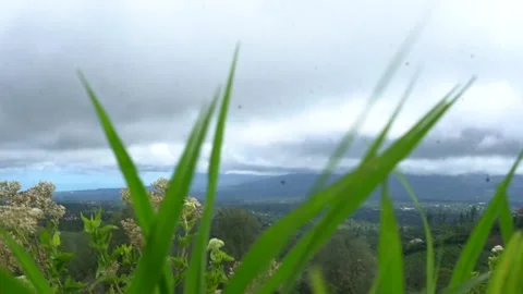 Mountain Stock Footage 131099328