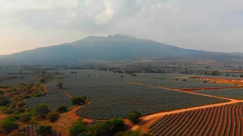 Mountain Stock Footage 197683059