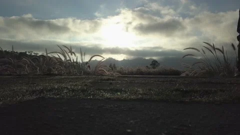 Mountain Stock-Footage 219015014