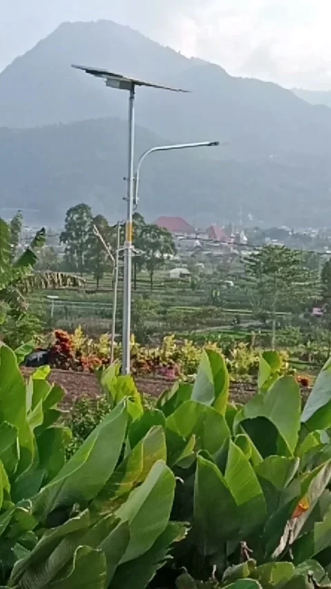 Mountain 動画素材 235261442