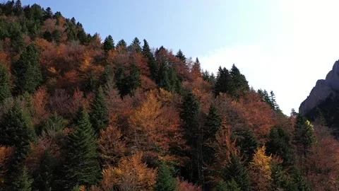 Mountain Stock Footage 237885944