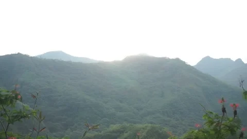 Mountain Stock Footage 241370967