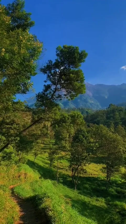 Mountain Stock Footage 242815344