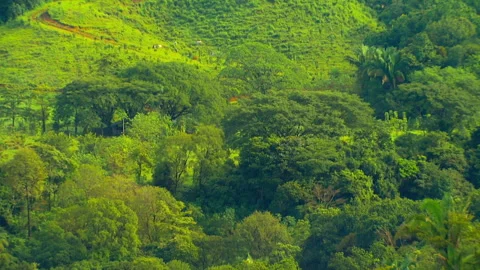 Mountain Stock Footage 278278897