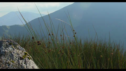 Mountain Stock Footage 281261027