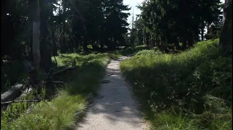 Mountain footpath Stock Footage 31323596