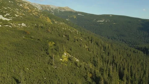 Mountain forest 03 Stock Footage 251144853