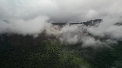 Mountain Forest Aerial Above Clouds - Serene Nature View Stockbeeldmateriaal 332726819