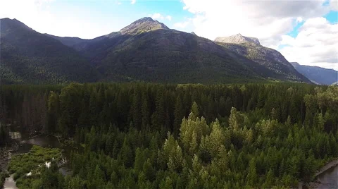 Mountain Forest Aerial Stock Footage 44092982