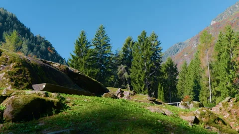Mountain Forest and Distant Peaks Seen from Grassy Rocky Hill Stock Footage 320208070