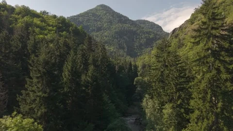 Mountain Forest and River Valley in Georgia Stock Footage 346188903