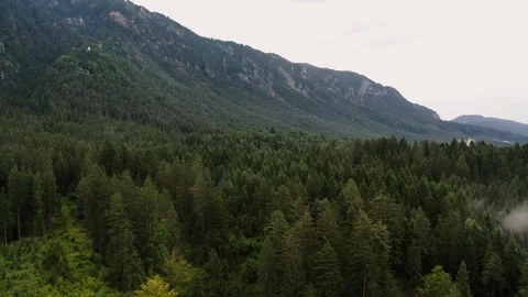 Mountain forest in the Austrian Alps 스톡 동영상 122996690
